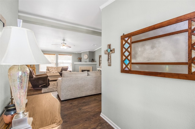 living room with ornamental molding, dark wood-type flooring, and ceiling fan