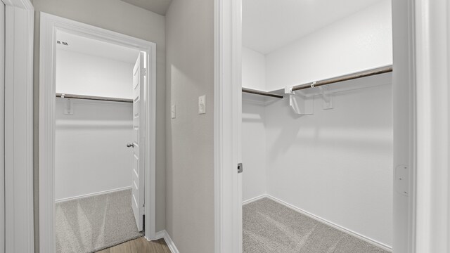 walk in closet featuring light colored carpet