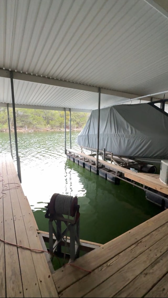 dock area with a water view