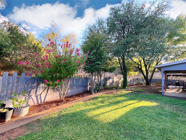 view of yard featuring a patio