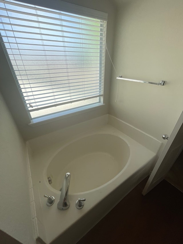 bathroom with a wealth of natural light and a bathing tub