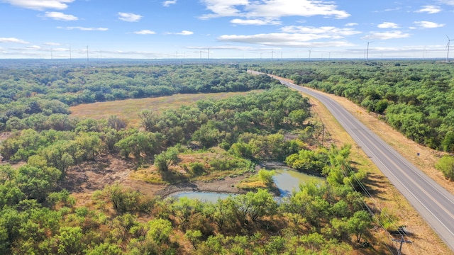 Listing photo 3 for TBD Highway 6, Moran TX 76464