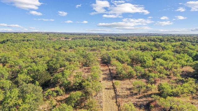 Listing photo 2 for TBD Highway 6, Moran TX 76464