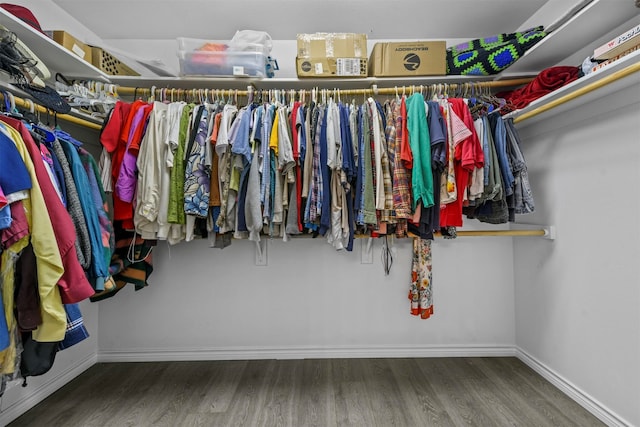 walk in closet featuring hardwood / wood-style flooring