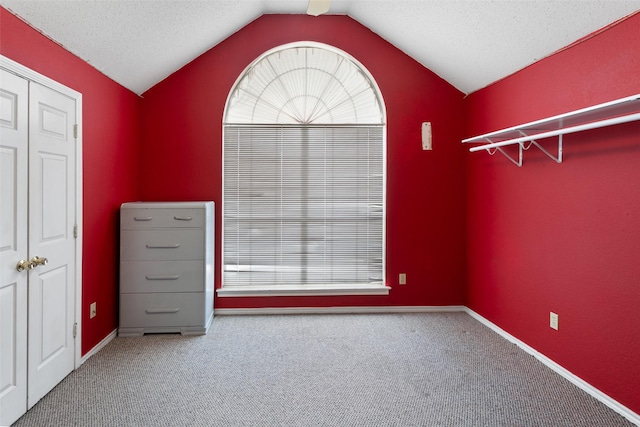 interior space with lofted ceiling, a textured ceiling, carpet floors, and plenty of natural light