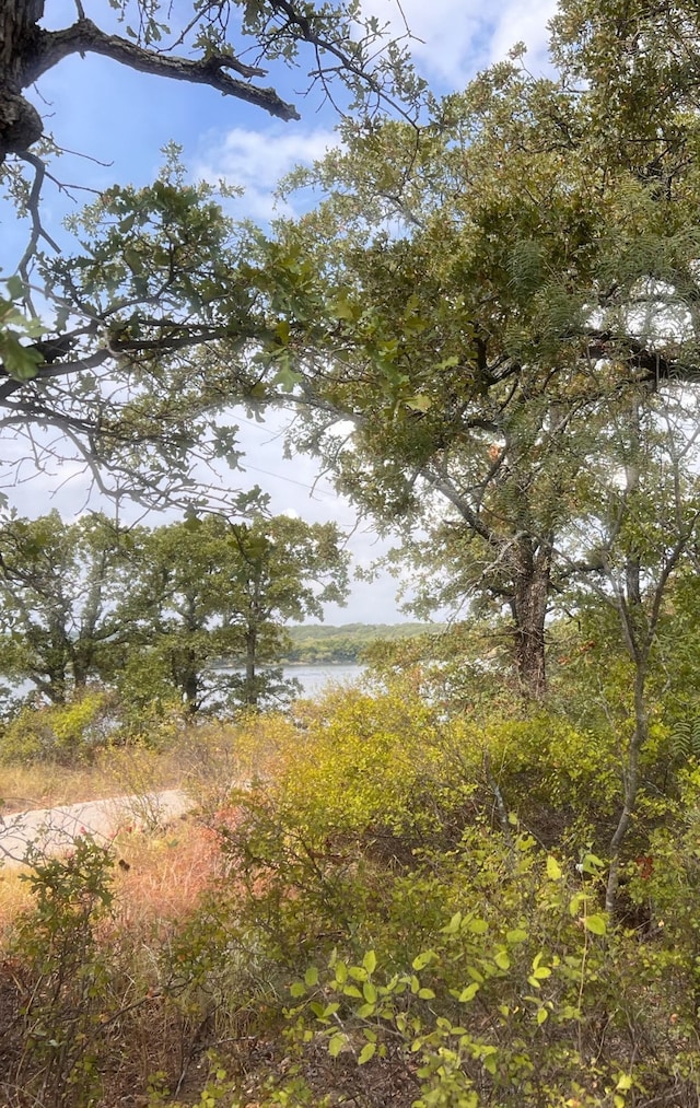 TBD Lakeside, Bowie TX, 76230 land for sale