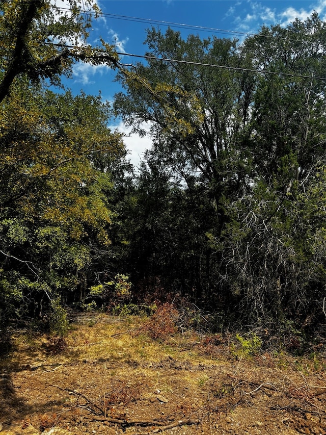 5511 Cold Water Trl, Granbury TX, 76048 land for sale