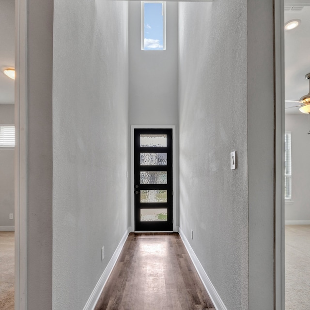 doorway featuring ceiling fan, plenty of natural light, and wood-type flooring