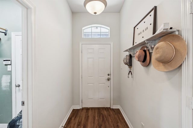 doorway featuring dark wood-type flooring