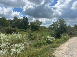 Listing photo 3 for TBD Bonham-Rice Road, Rice TX 75155