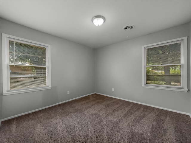 empty room featuring plenty of natural light and carpet