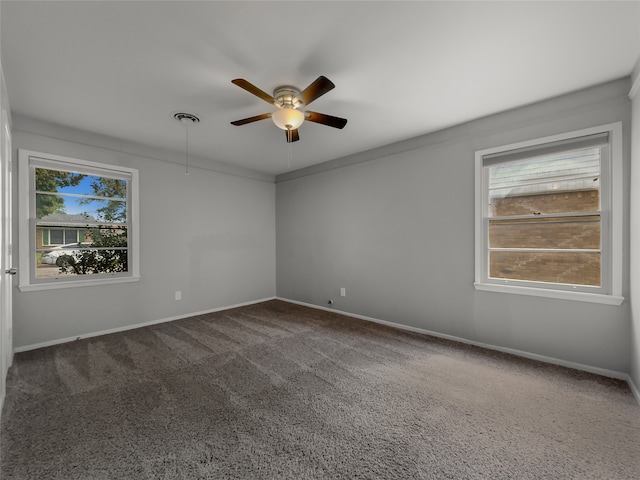 spare room featuring ceiling fan, ornamental molding, and carpet floors