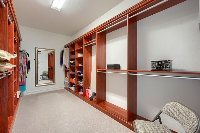 walk in closet with carpet floors