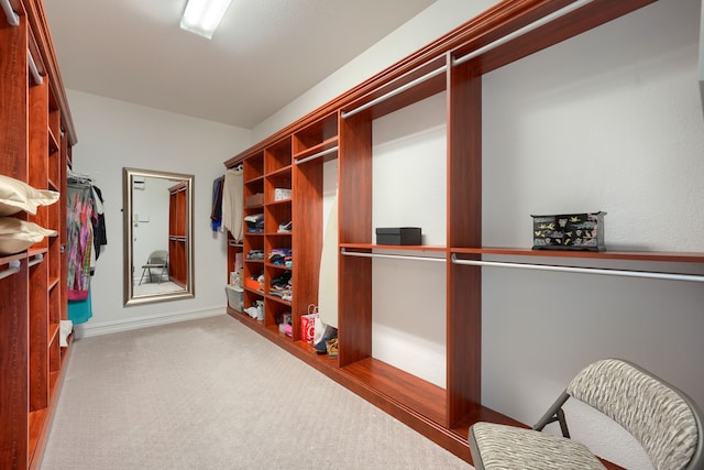 walk in closet with carpet flooring