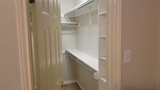 view of walk in closet