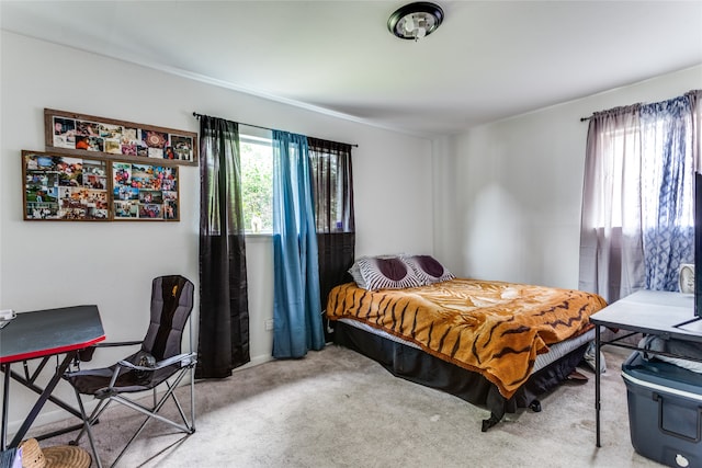 carpeted bedroom featuring multiple windows