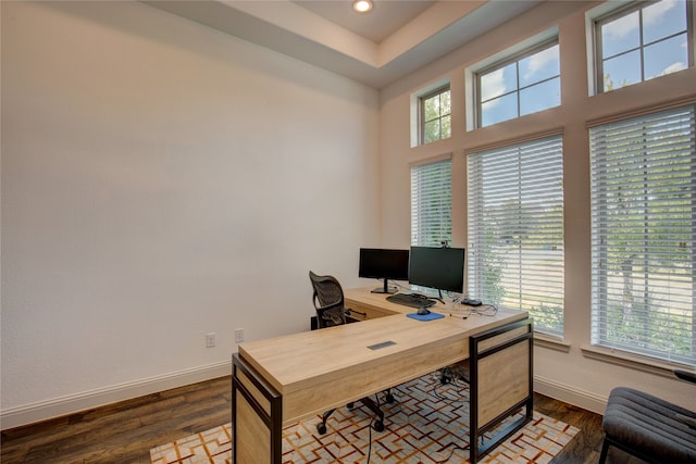 office featuring hardwood / wood-style flooring