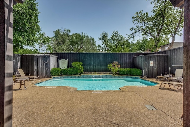 view of pool with a patio area