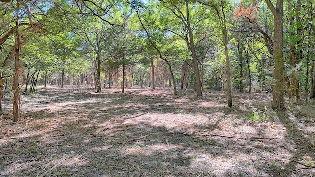 Listing photo 2 for TBD Fm 1806 Street, Montague TX 76251