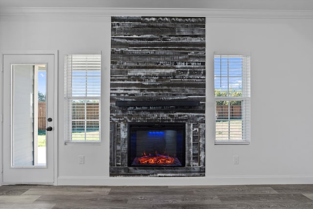 room details featuring a fireplace, hardwood / wood-style floors, and ornamental molding