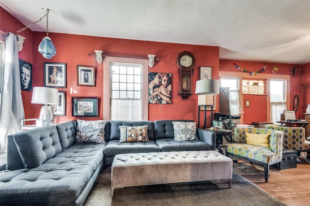 living room with wood-type flooring