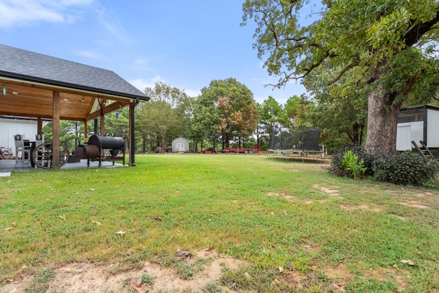 view of yard featuring a patio, a storage unit, and a trampoline