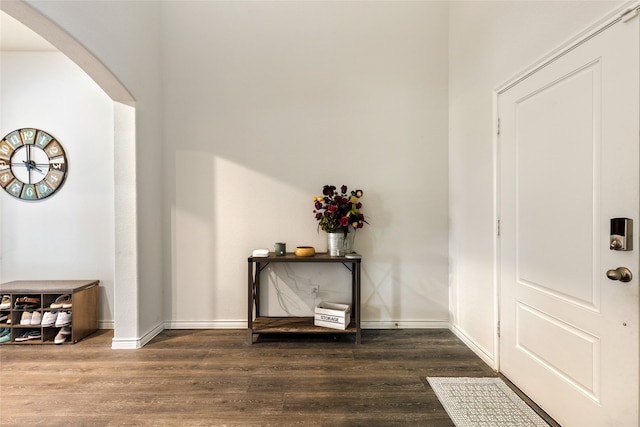 entrance foyer with dark hardwood / wood-style floors