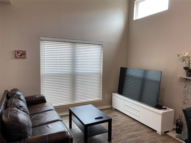 living room with hardwood / wood-style floors