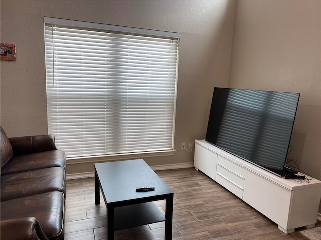 living room with hardwood / wood-style flooring and a healthy amount of sunlight