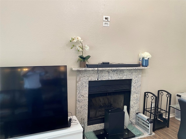 room details featuring hardwood / wood-style flooring and a fireplace