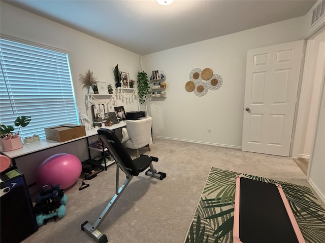 workout room featuring plenty of natural light and light carpet