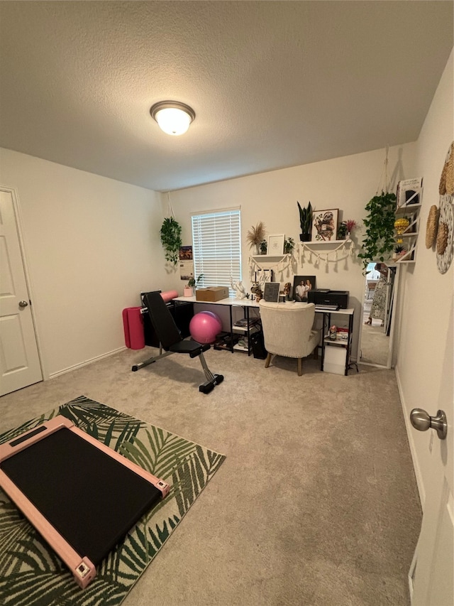 interior space featuring a textured ceiling and carpet