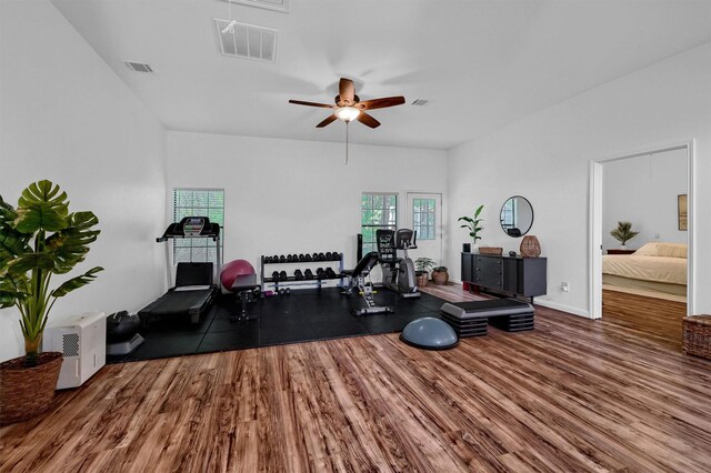 workout area with ceiling fan and dark hardwood / wood-style floors