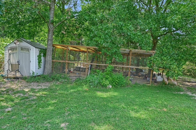 view of yard featuring a shed