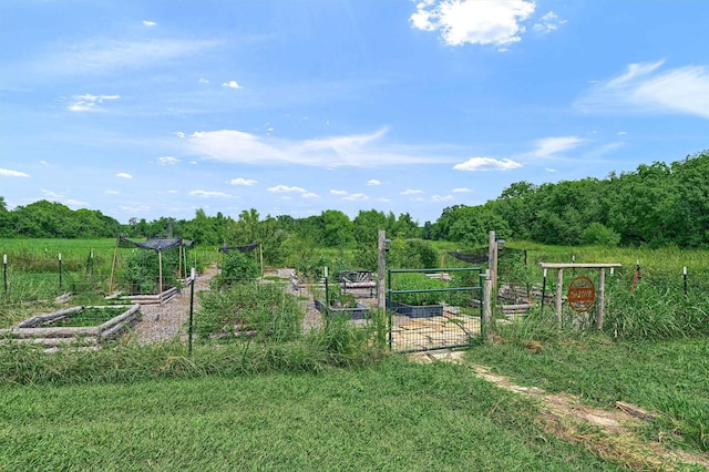 view of yard with a gate and a vegetable garden