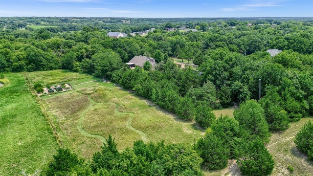 bird's eye view