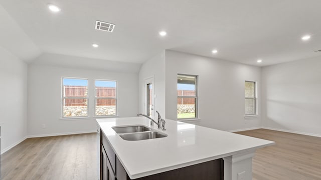 kitchen with light wood-type flooring, a center island with sink, a healthy amount of sunlight, and sink