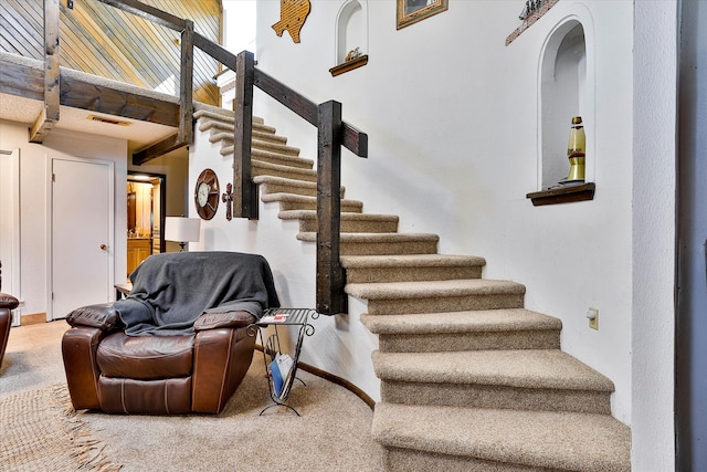 stairway featuring carpet floors