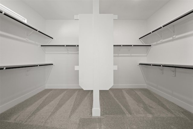 spacious closet with carpet