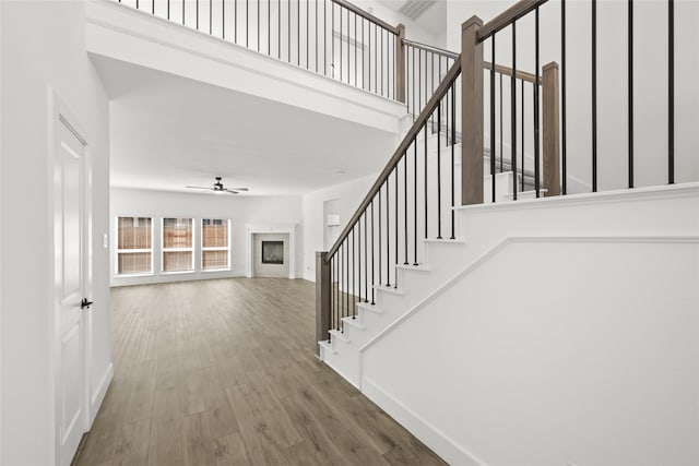 stairway featuring ceiling fan and hardwood / wood-style flooring