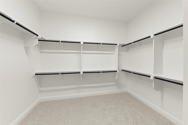 spacious closet featuring carpet flooring