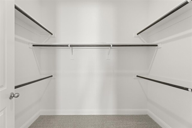 walk in closet featuring carpet flooring