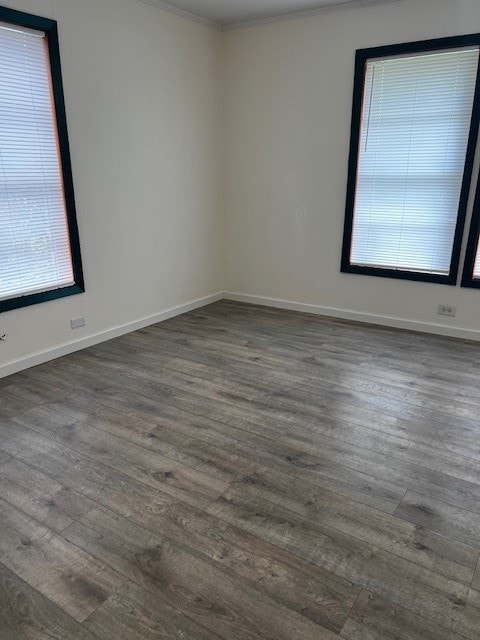 spare room featuring ornamental molding and dark hardwood / wood-style flooring