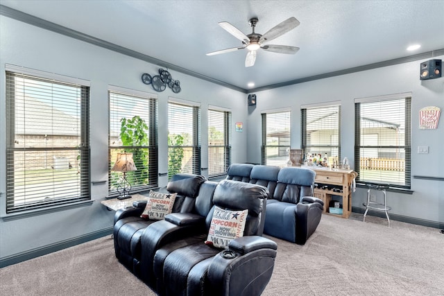 cinema with ceiling fan, ornamental molding, and carpet floors