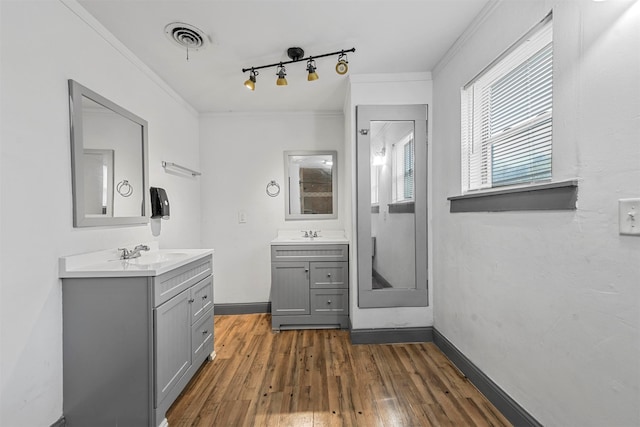 bathroom with vanity, crown molding, and hardwood / wood-style floors