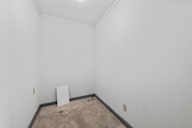 carpeted empty room featuring crown molding