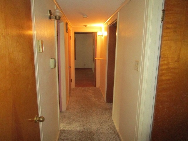 corridor featuring carpet flooring and ornamental molding