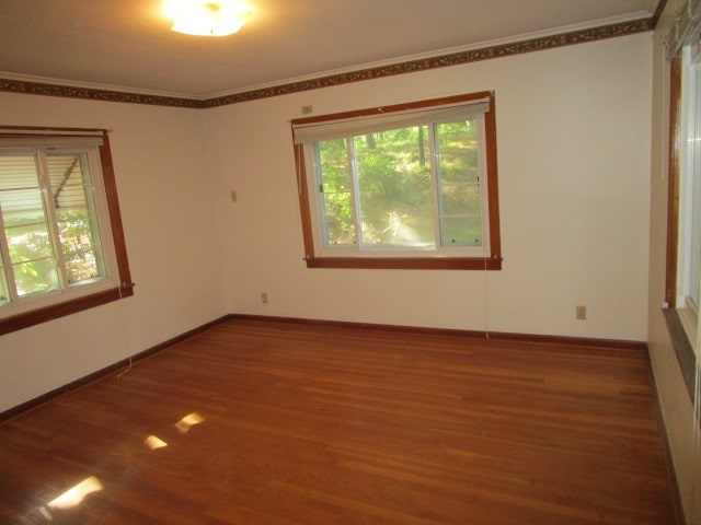 spare room featuring ornamental molding and hardwood / wood-style flooring