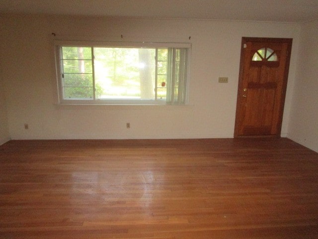 empty room with hardwood / wood-style floors