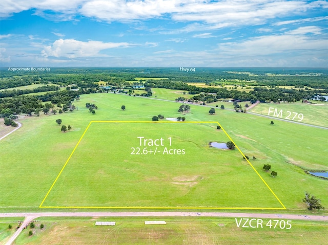 Listing photo 2 for 0 Vz County Road 4705, Ben Wheeler TX 75754